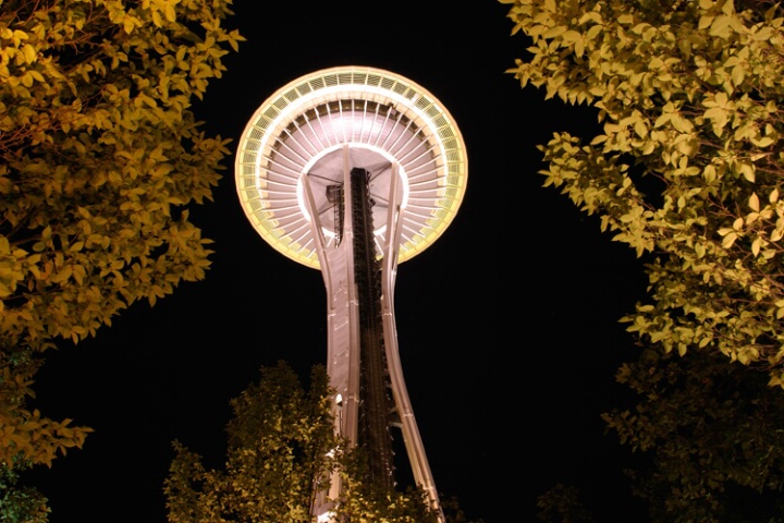 Framed Space Needle
