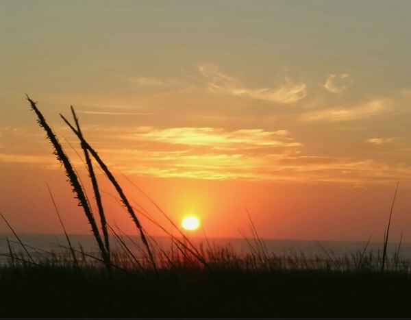 Dune Grass Sunset