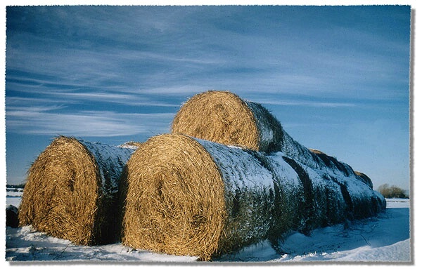 Wonderful Winter Day