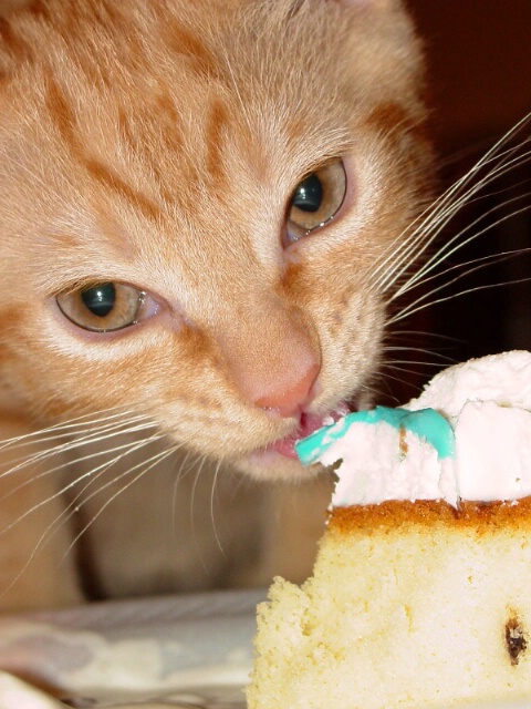 Cake for Sherbie