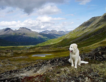 Scenic Break