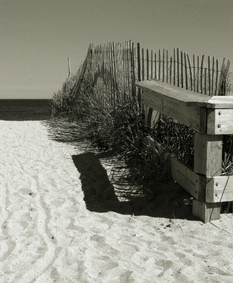 Pathway To The Ocean