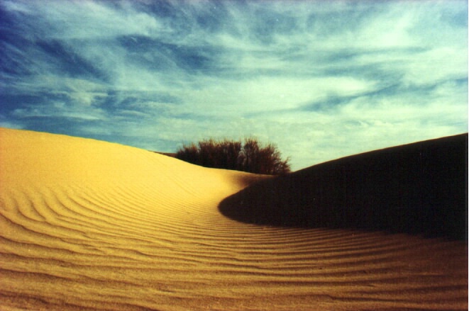 Desert Dune