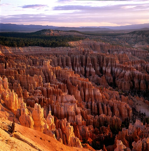 Bryce Canyon, NP, Sunrise