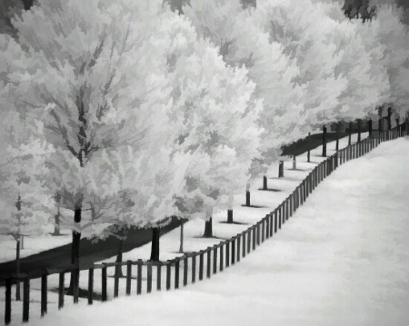 Lucky Penny Horse Farms - IR