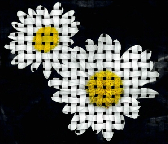 Weaving Daisies