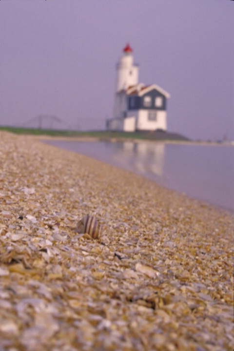 Shell and Windmill