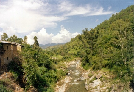 A stream