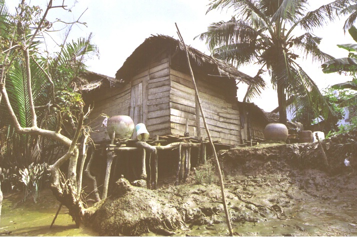 'Mekong Delta'...House