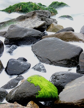 Surf and Stones