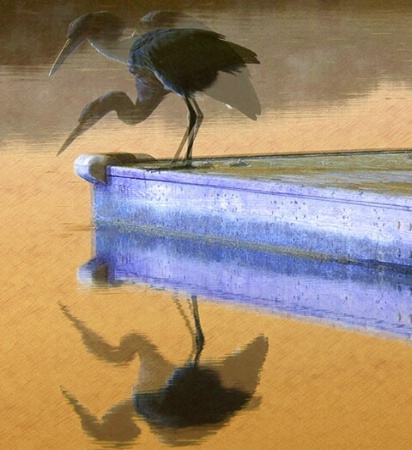 Heron Reflections