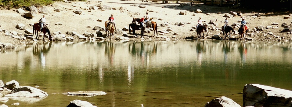 Water Break