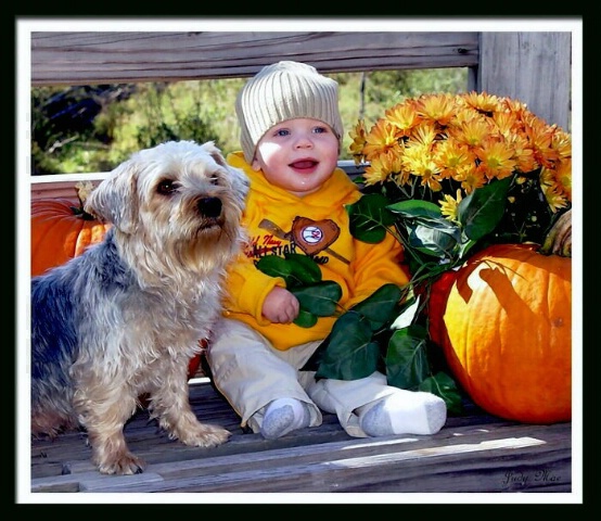 My Blue Eyed Pumpkin