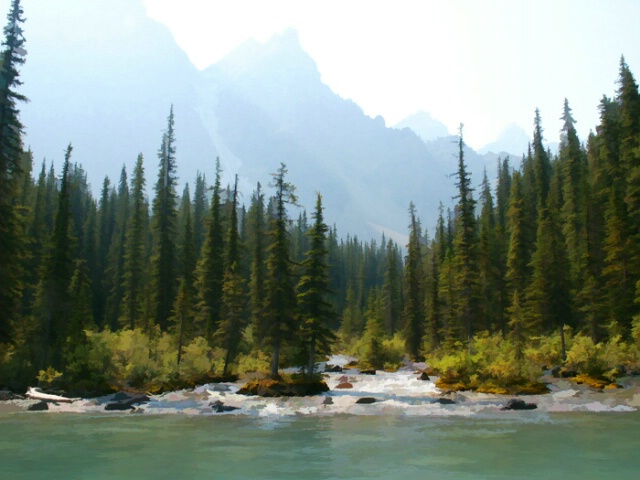 Little Creek Flows Into Moraine Lake