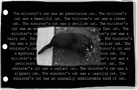 The Minister's Cat was a ________ cat.