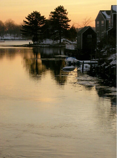 Winter Dawn - ID: 202062 © Mary-Ella Bowles