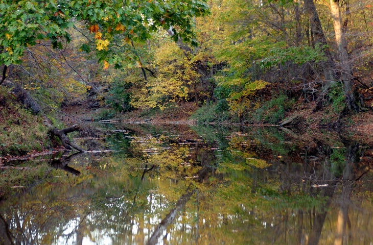Autumn Reflections - ID: 206642 © Rhonda Maurer