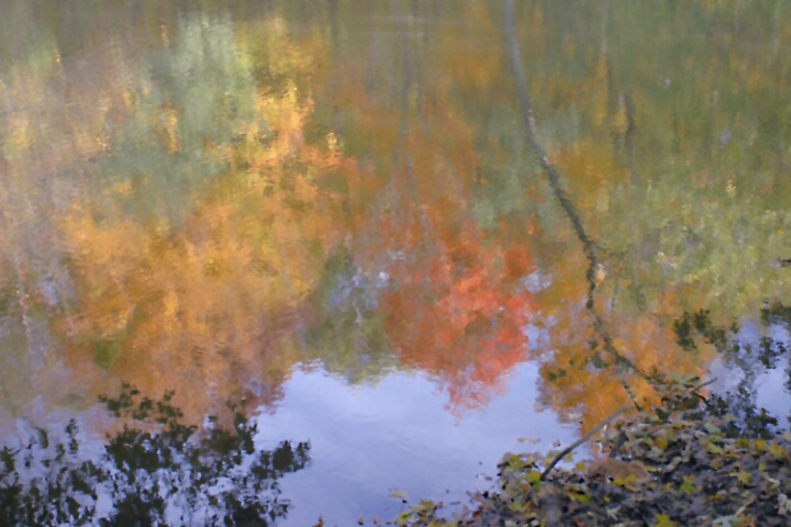 River Reflections 3