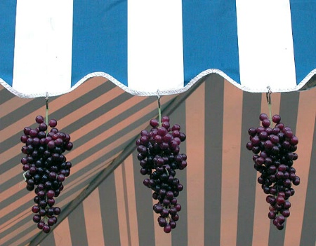 Hanging Grapes