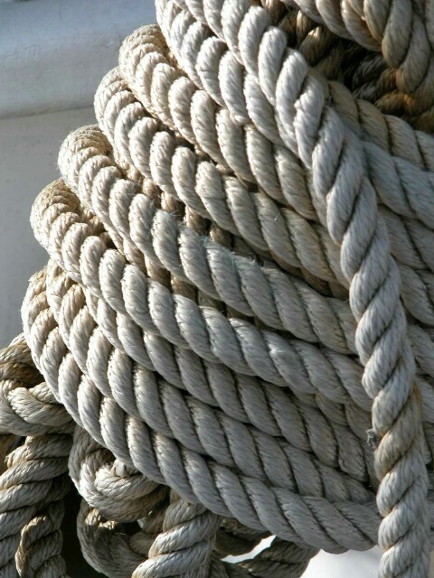 Sea Rope