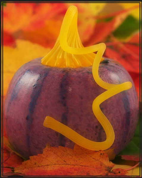 Purple Pumpkin Eater? - ID: 207730 © Sharon E. Lowe