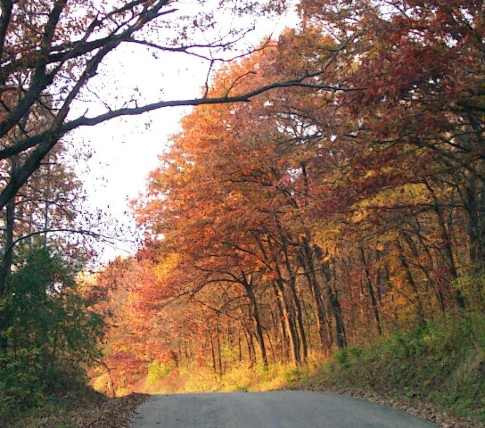 Autumn Roads