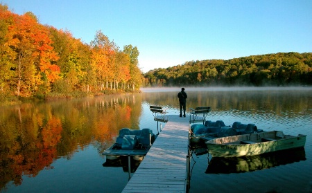 Misty Morning At The Lake