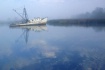 Grounded by fog