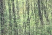 Spring green