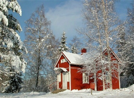 Little Red House