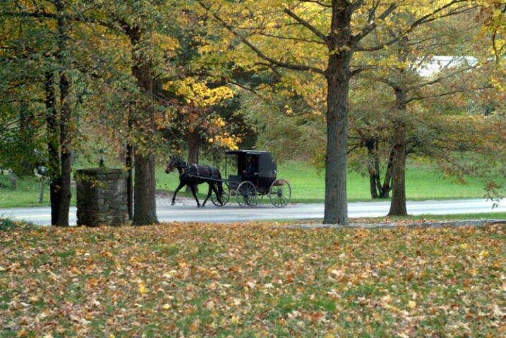 An Amish Autumn