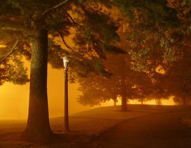 Walkway at Dusk