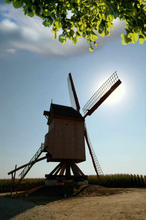 Windmill in the Flanders (Belgium)