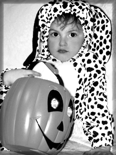 A tired dalmation after trick or treat