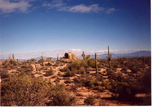 Arizona Desert