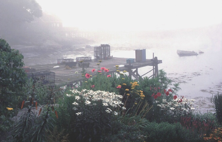 Garden by the dock