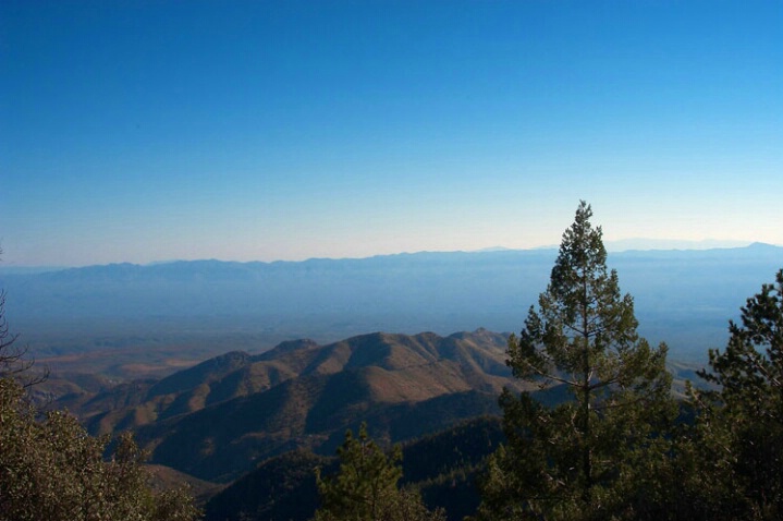 Mt Lemon looking out