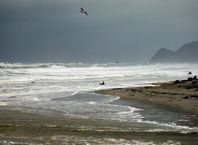 Oregon Beach Storm