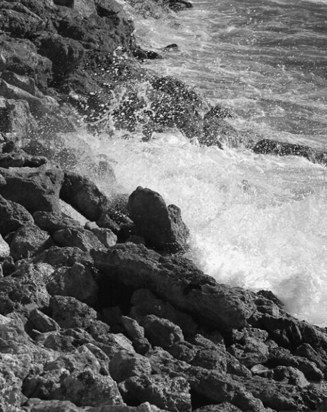 Surf Rocks#2