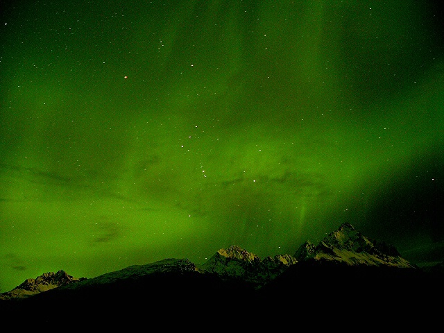 Orion Dressed in Emerald