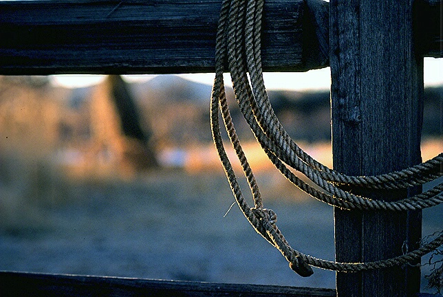 rope on fence