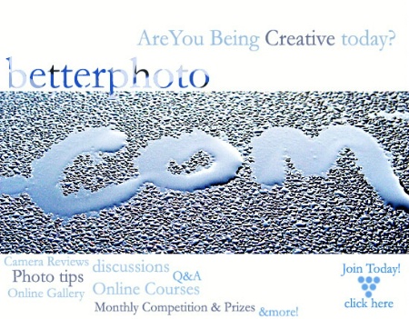betterphoto.com - Join Today!