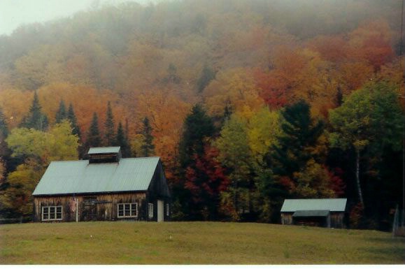 misty fall morning