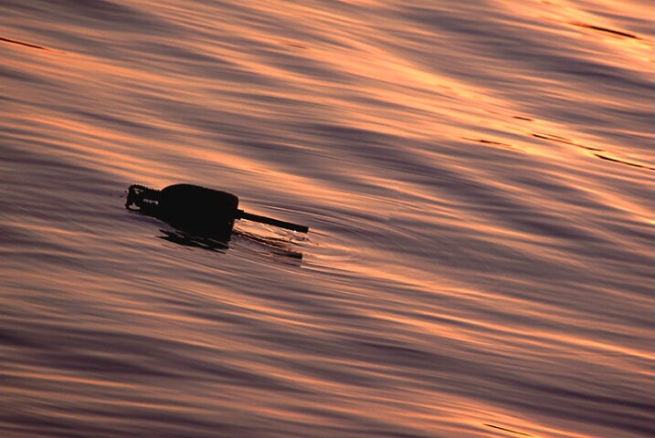 Lobster Buoy at sunset