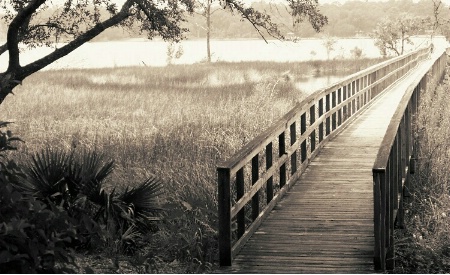 Bridge in Afternoon Light