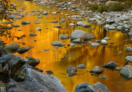 Golden Stream