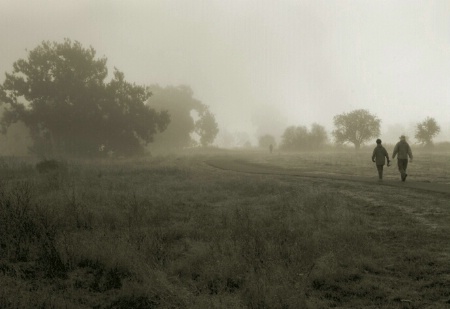 A Foggy Morning Walk