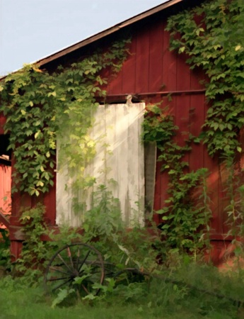 Afternoon at the Barn