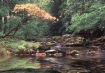 Mountain stream i...