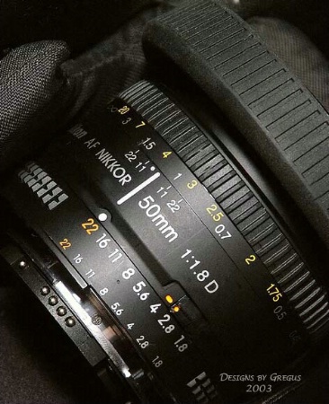 My Nikon F100